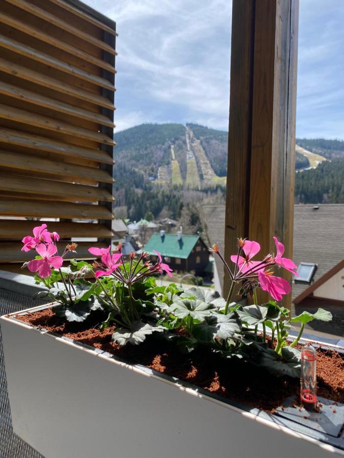 Luxusni Apartman U Sjezdovek S Garazi Harrachov Buitenkant foto