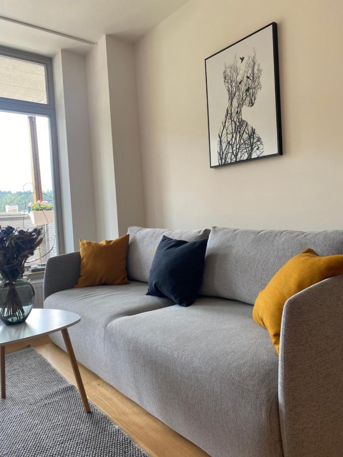 Luxusni Apartman U Sjezdovek S Garazi Harrachov Buitenkant foto